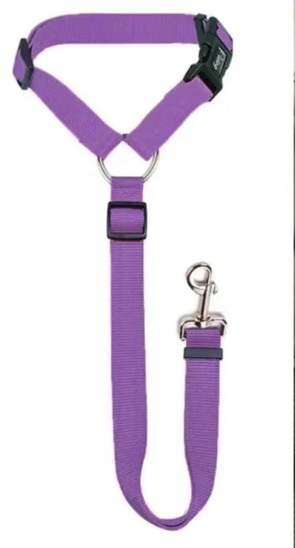 Seatbelt Leash