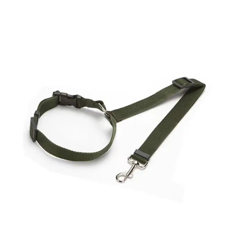 Seatbelt Leash
