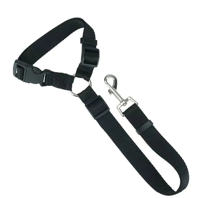 Seatbelt Leash