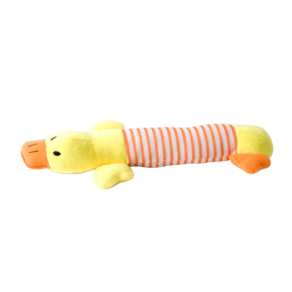 Squeaky Toy