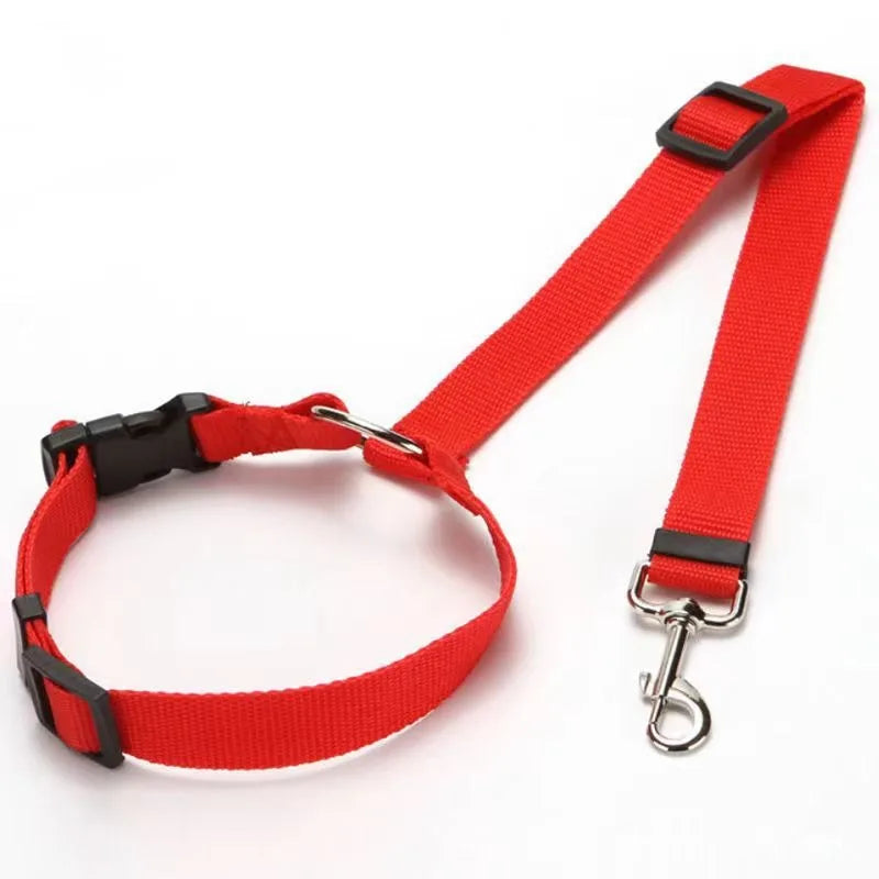 Seatbelt Leash