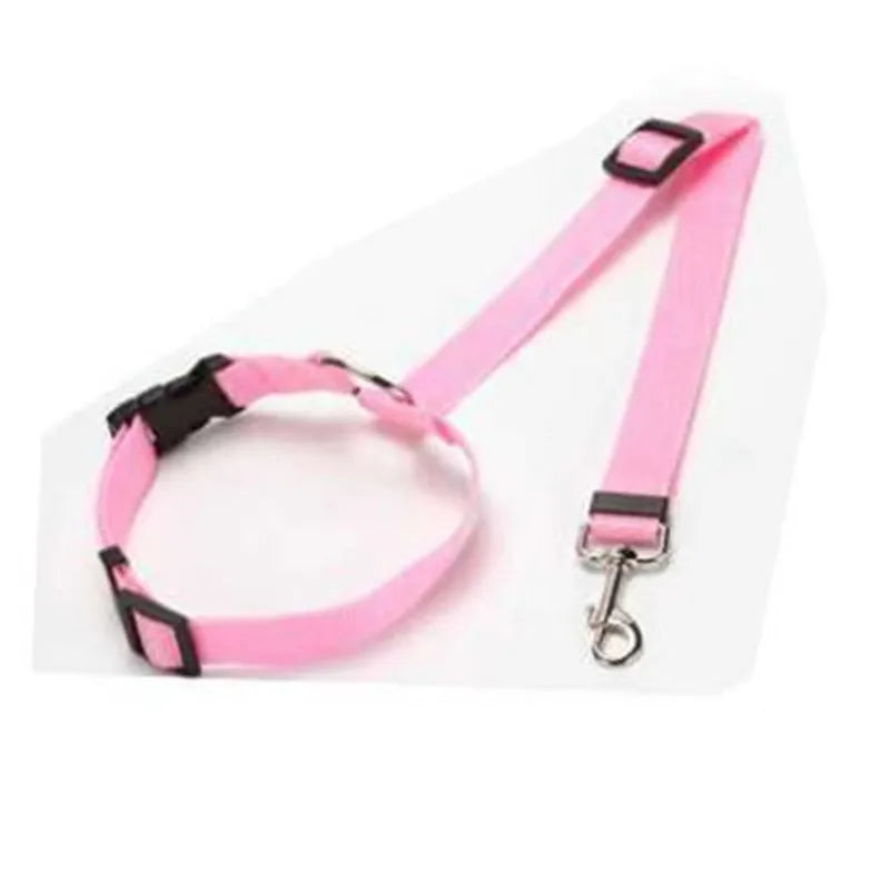 Seatbelt Leash