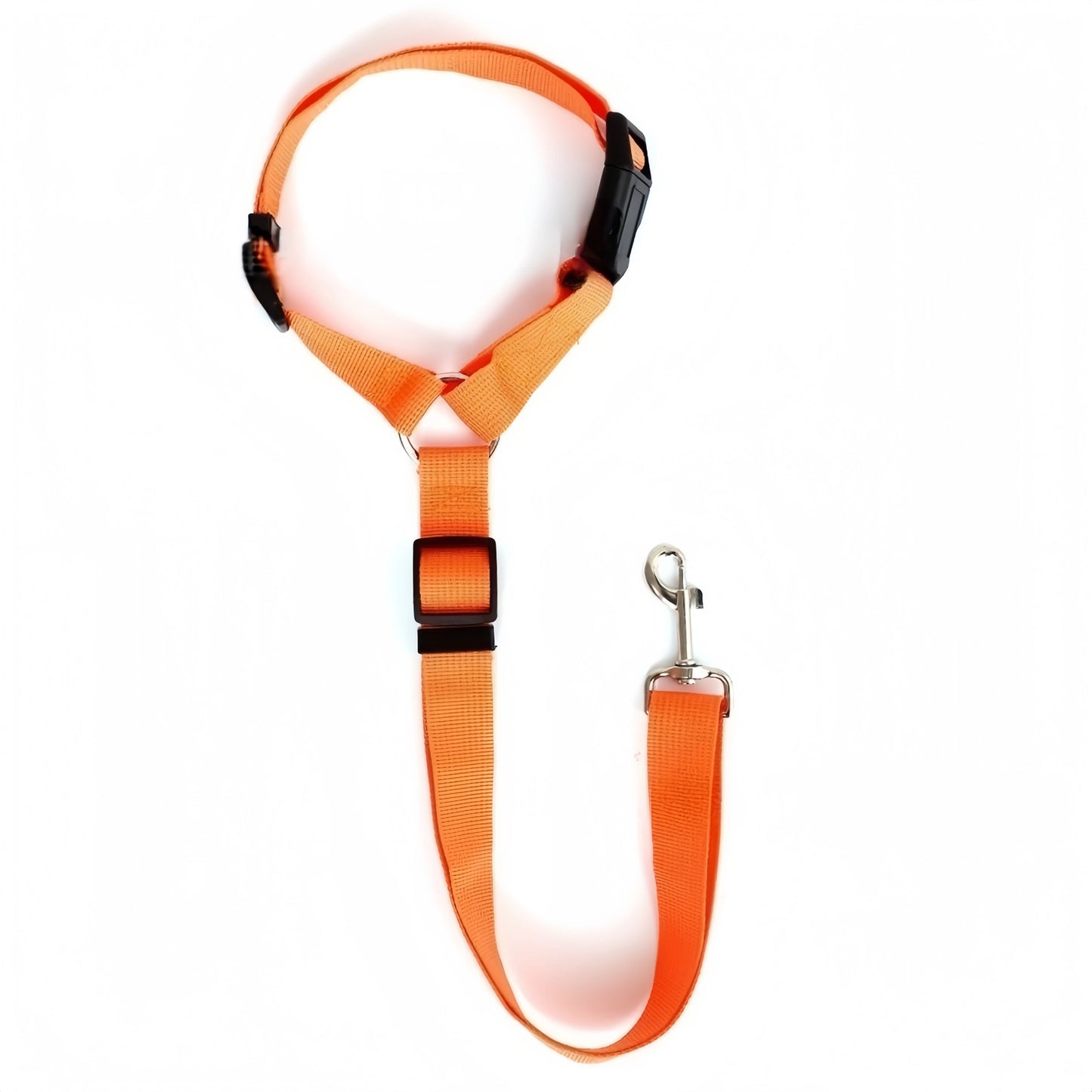 Seatbelt Leash