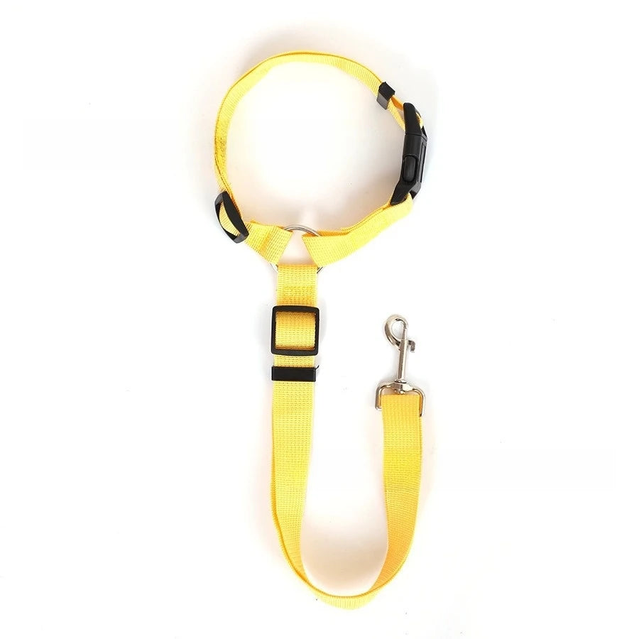 Seatbelt Leash