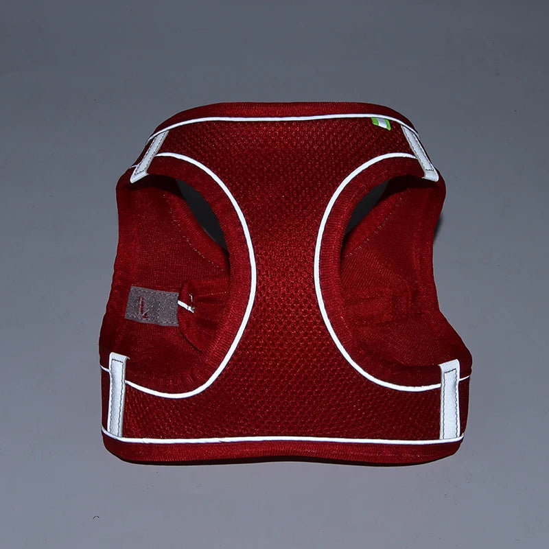 Dog Harness