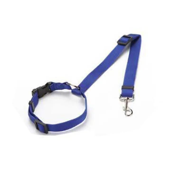 Seatbelt Leash