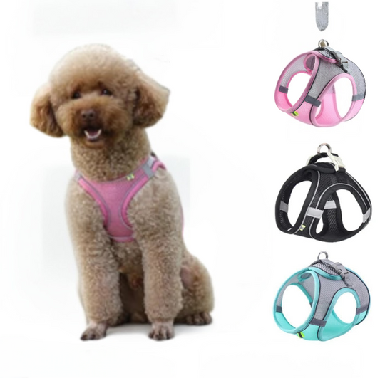 Dog Harness - Small