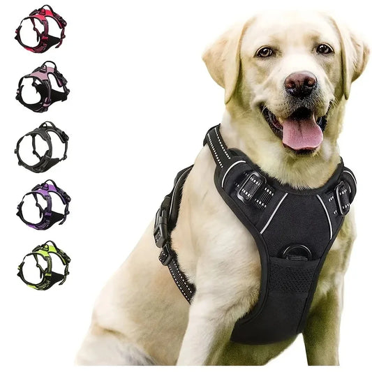 Dog Harness - Big