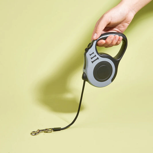 Retractable Leash - Small