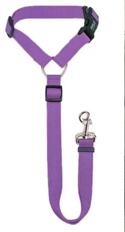 Seatbelt Leash