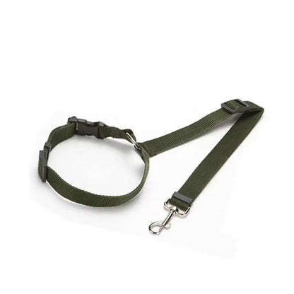 Seatbelt Leash