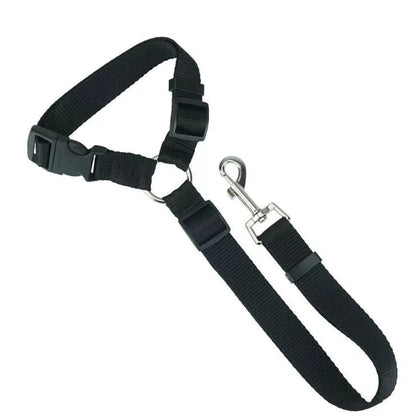 Seatbelt Leash
