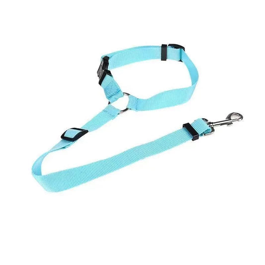 Seatbelt Leash