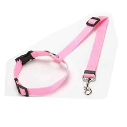 Seatbelt Leash