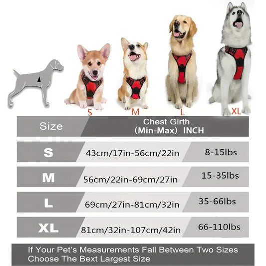 Dog Harness - Big